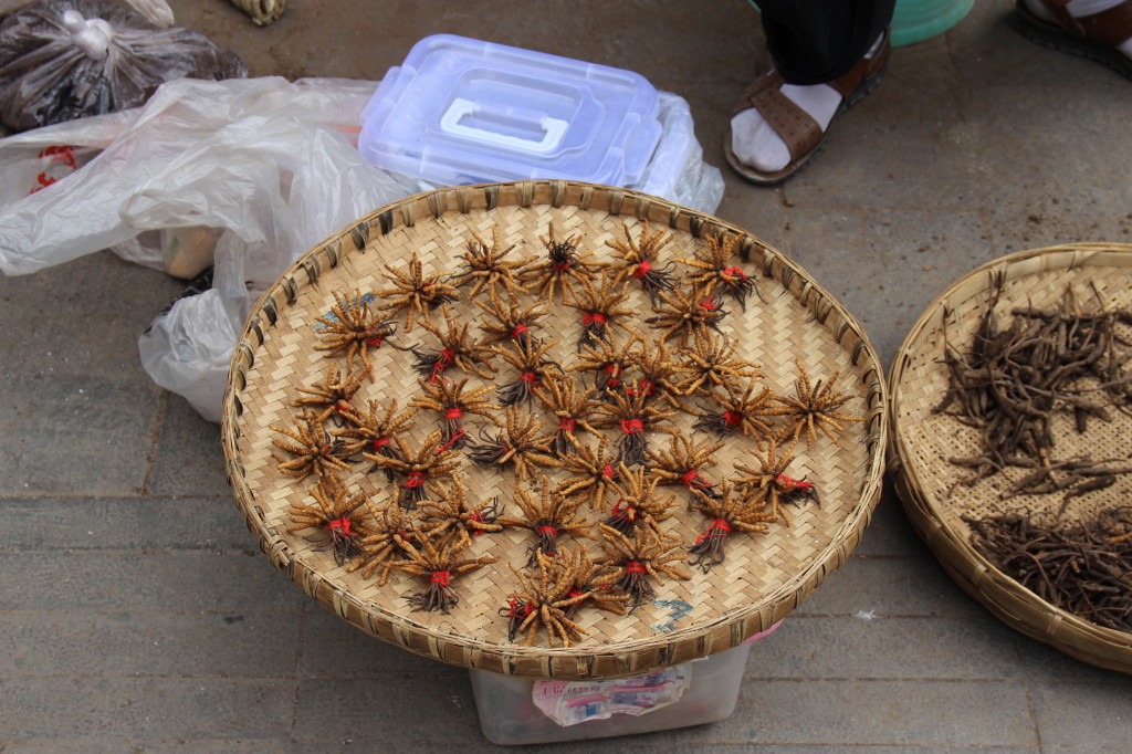 Traditionelle Chinesische Medizin
