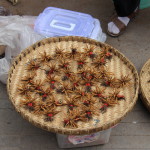 Traditionelle Chinesische Medizin