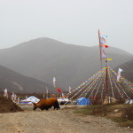 Das Lager von Yak Hirten, Nomaden